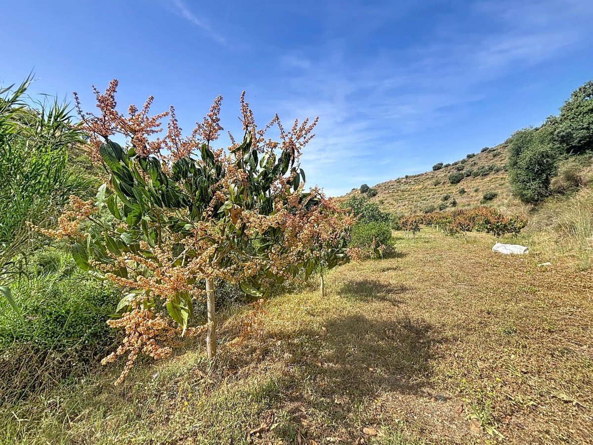 2 Bed Finca - Cortijo in Totalán