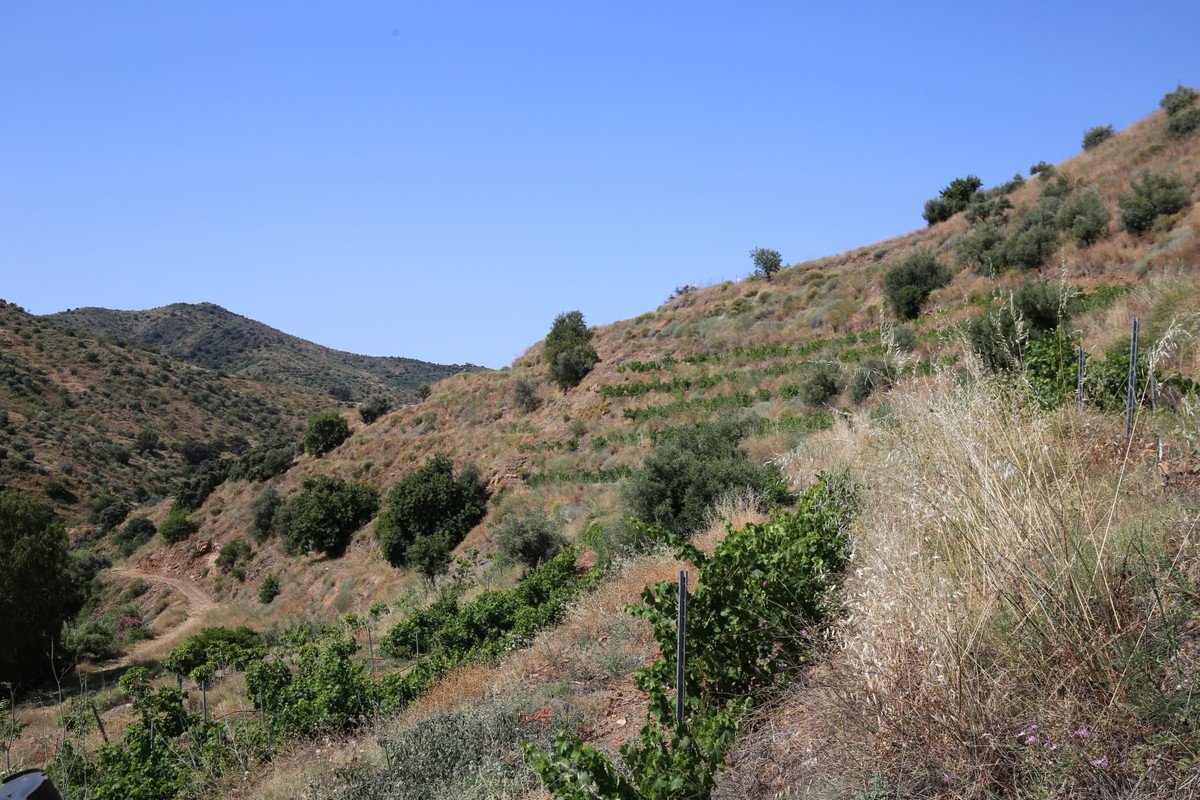 2 Bed Finca - Cortijo in Totalán
