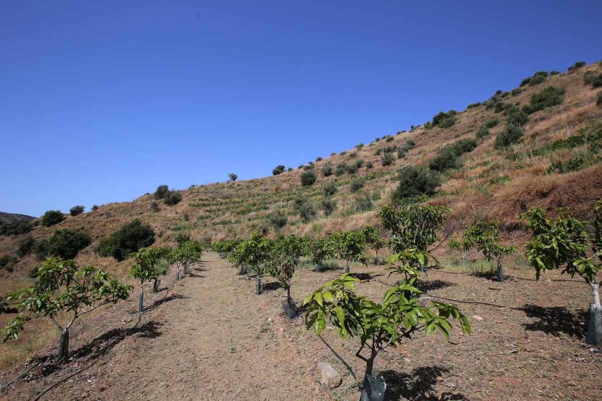 2 Bed Finca - Cortijo in Totalán