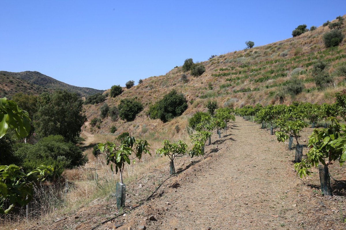2 Bed Finca - Cortijo in Totalán