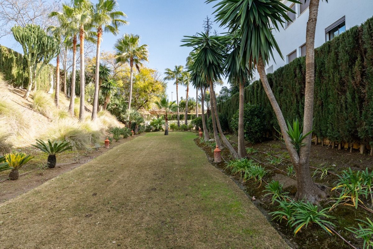 3 Bed Ground Floor Apartment in Estepona