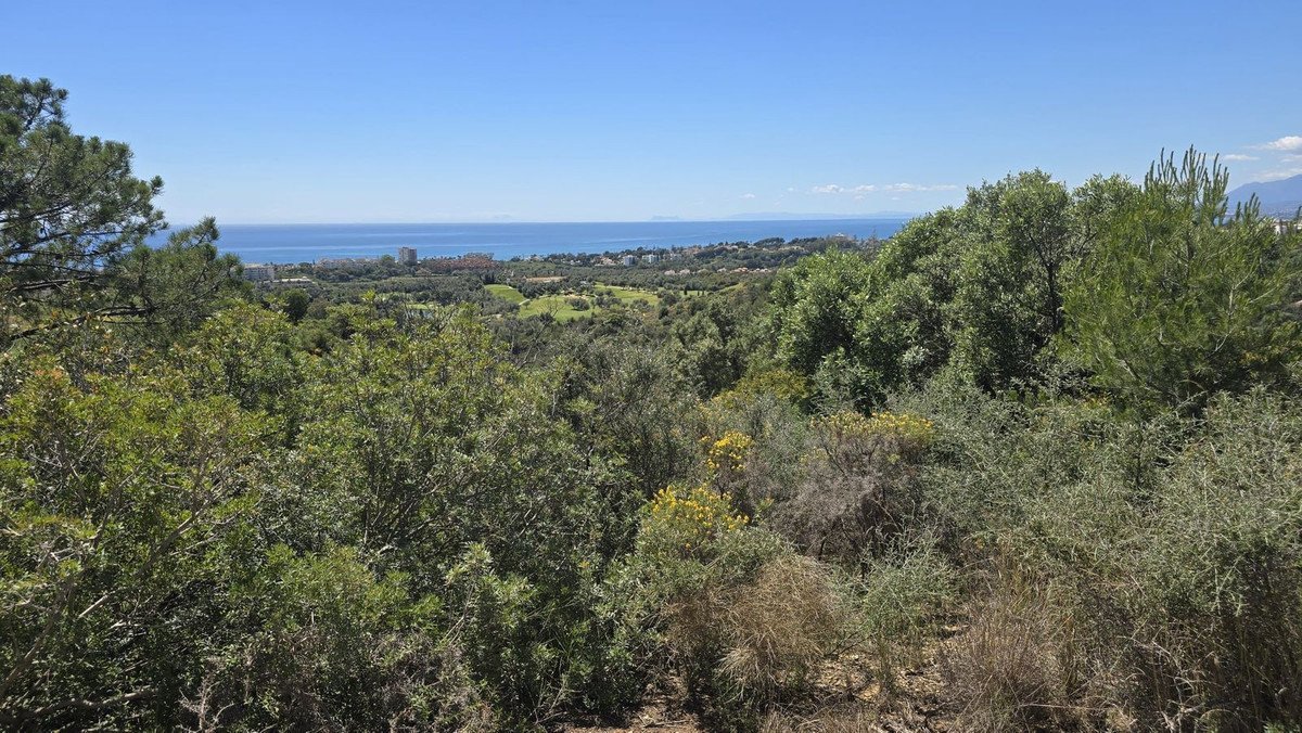 7 Bed Detached Villa in El Rosario