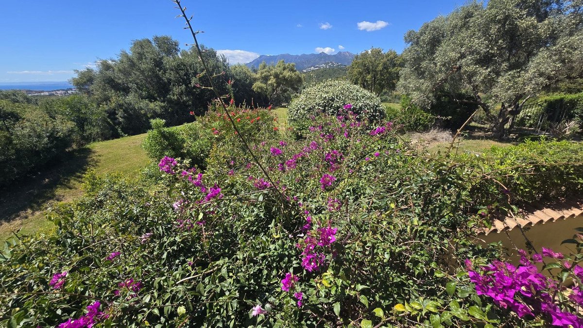 7 Bed Detached Villa in El Rosario