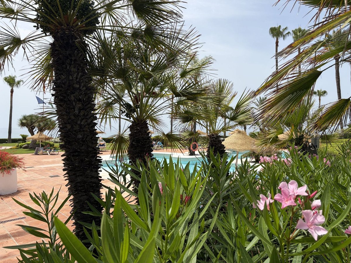 3 Bed Ground Floor Apartment in Estepona