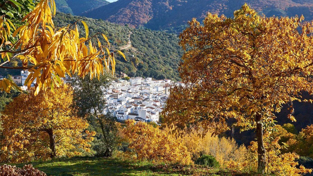 Land in Igualeja