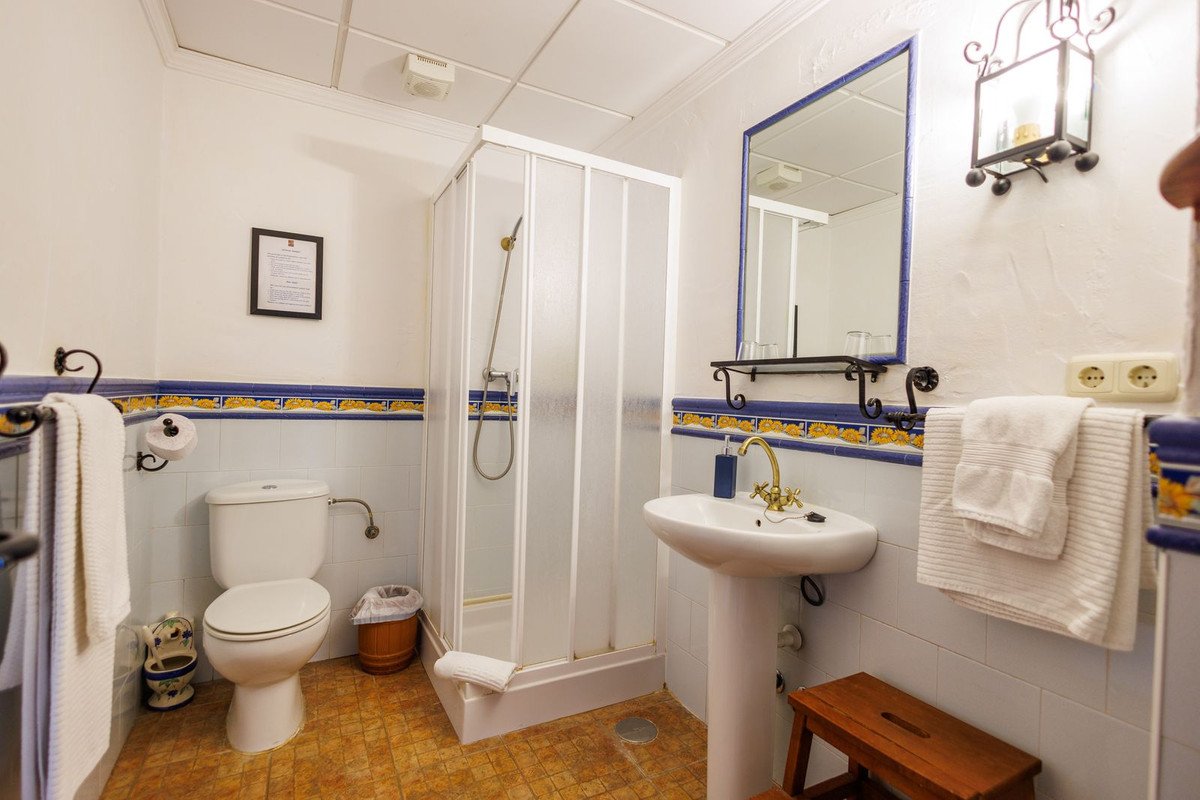 9 Bed Bed and Breakfast in Villanueva de Tapia