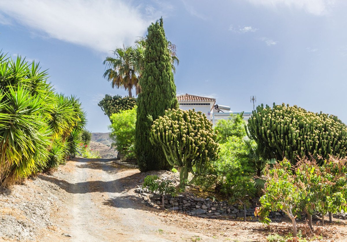 4 Bed Detached Villa in La Herradura