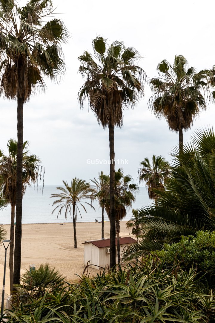 3 Bed Ground Floor Apartment in Marbella