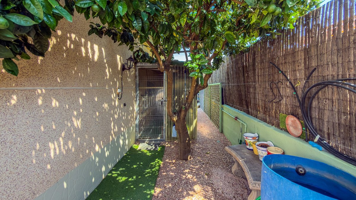 3 Bed Detached Villa in Catral