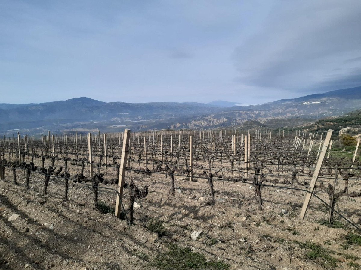 11 Bed Finca - Cortijo in La Alpujarra
