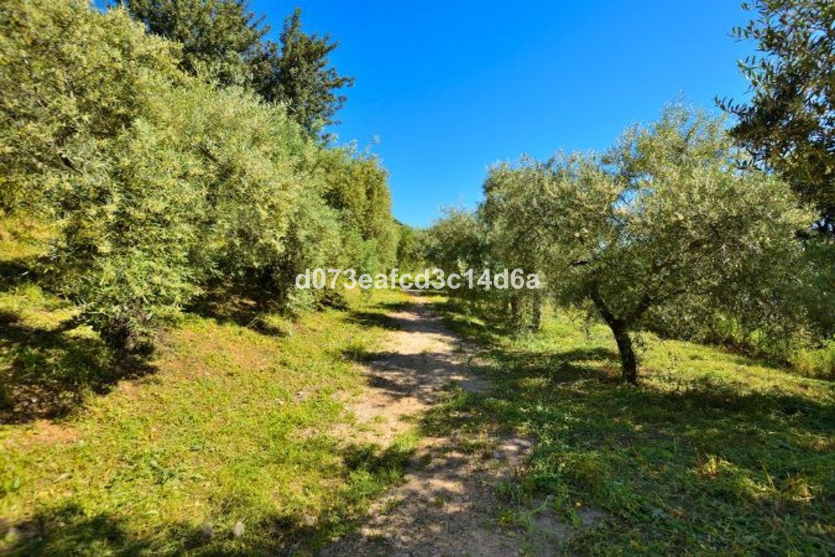 5 Bed Detached Villa in Zahara de la Sierra
