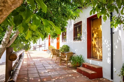 Commercial in Montejaque