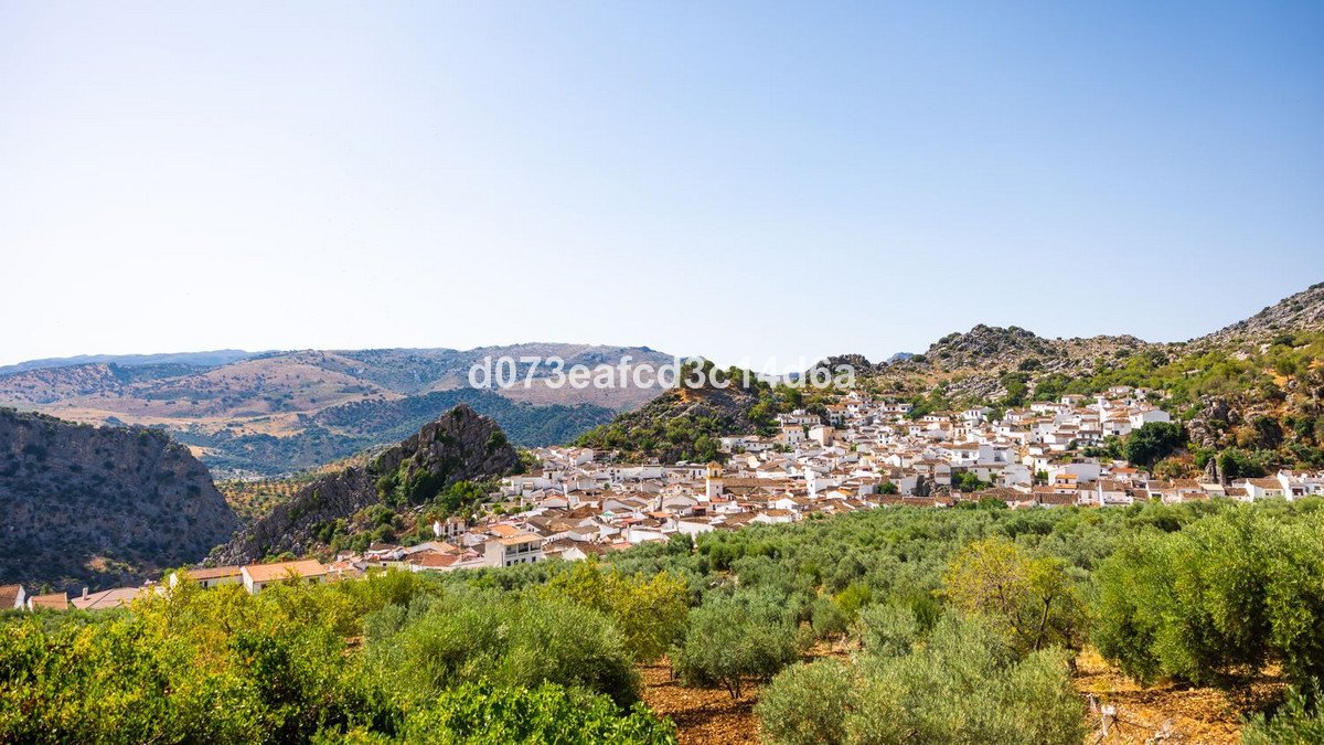 Commercial in Montejaque