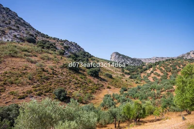 Commercial in Montejaque