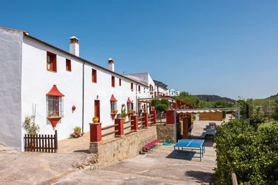 Commercial in Montejaque