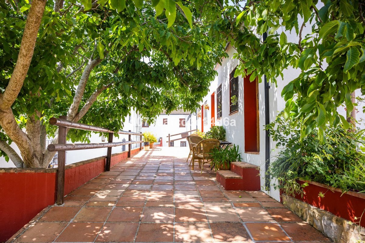 Commercial in Montejaque