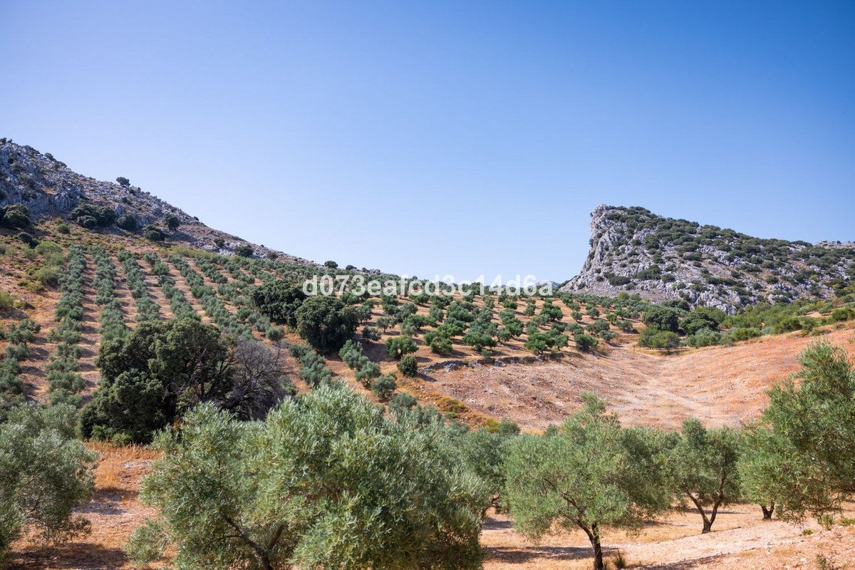 Commercial in Montejaque