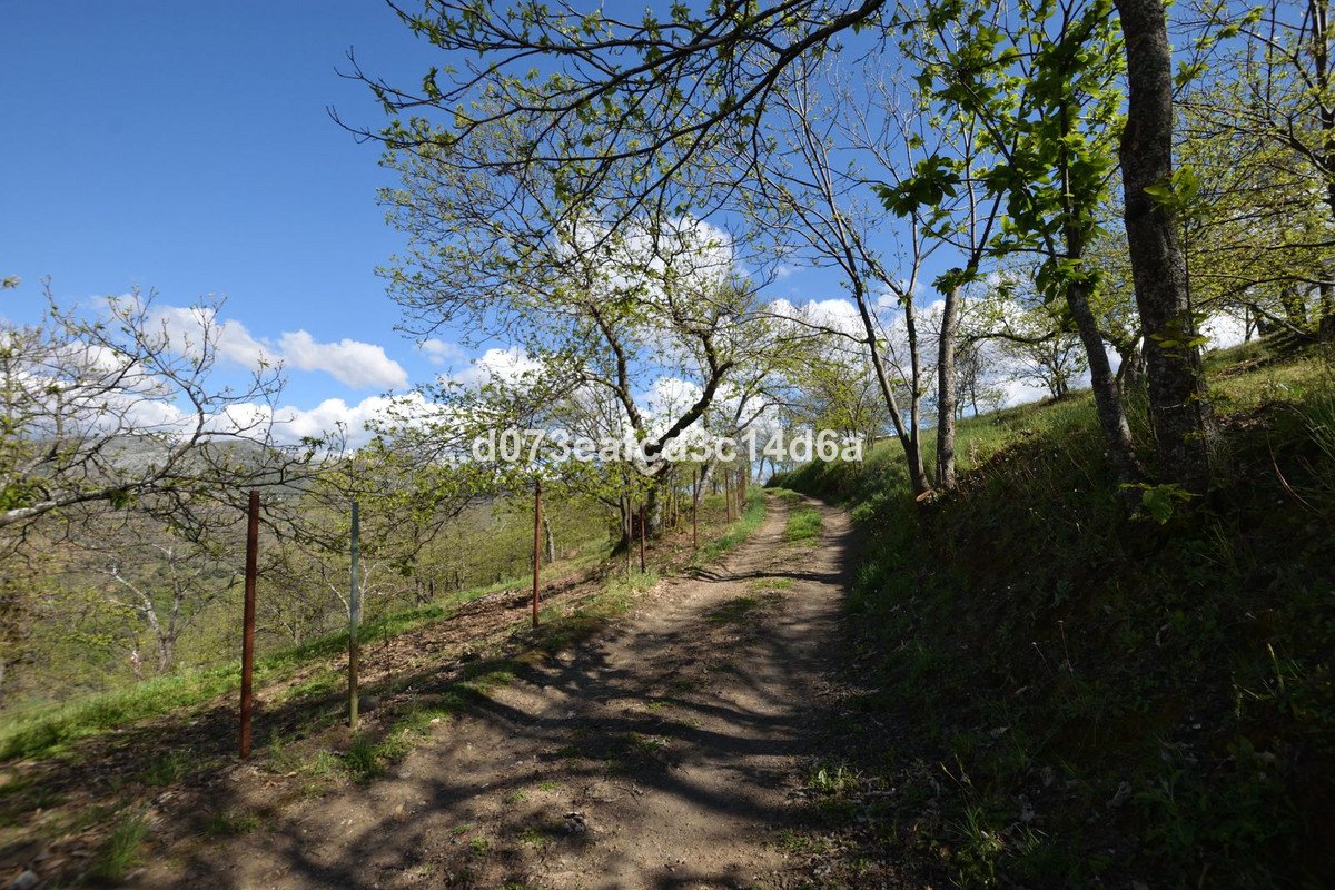 2 Bed Finca - Cortijo in Cartajima
