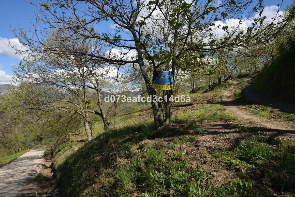 2 Bed Finca - Cortijo in Cartajima