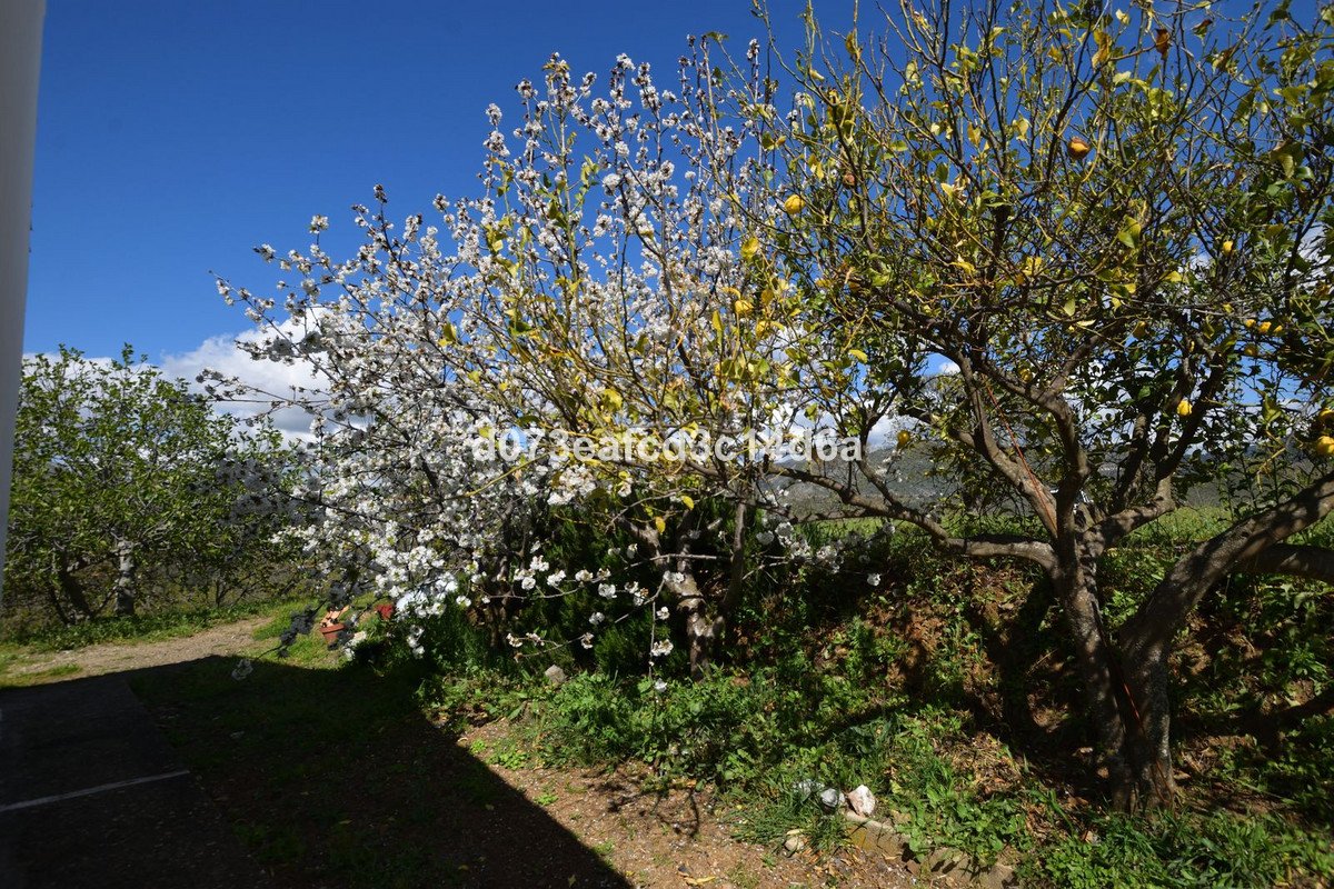 2 Bed Finca - Cortijo in Cartajima