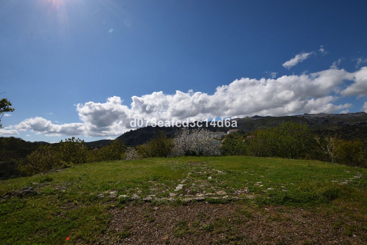 2 Bed Finca - Cortijo in Cartajima