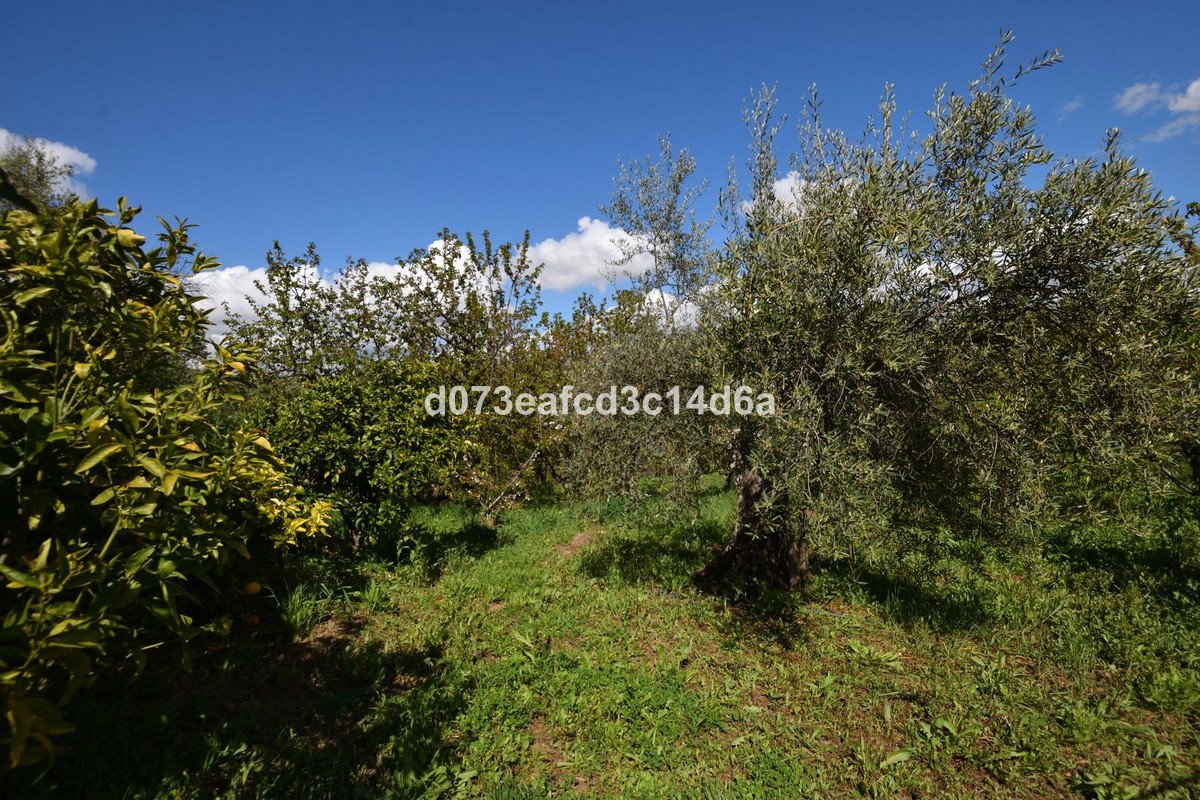 2 Bed Finca - Cortijo in Cartajima