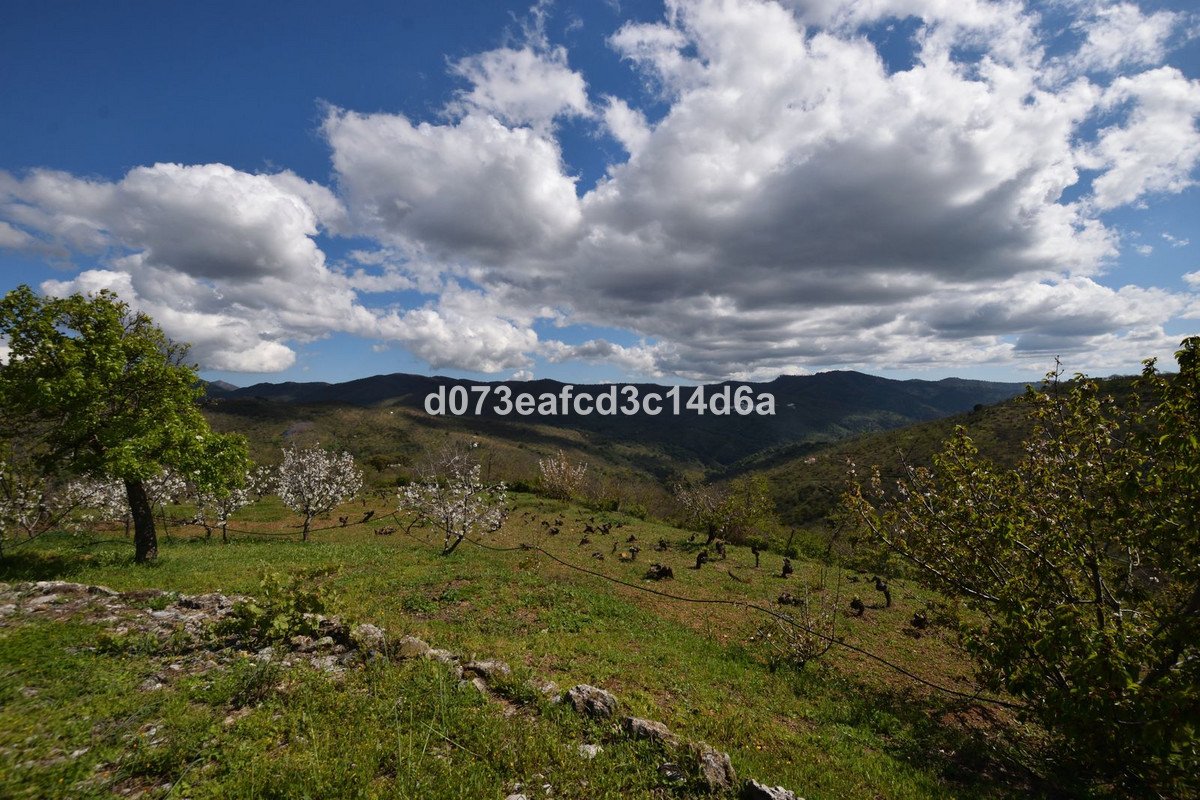 2 Bed Finca - Cortijo in Cartajima