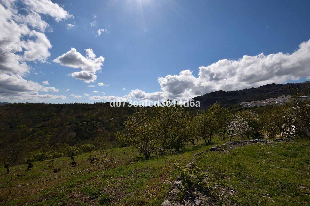 2 Bed Finca - Cortijo in Cartajima