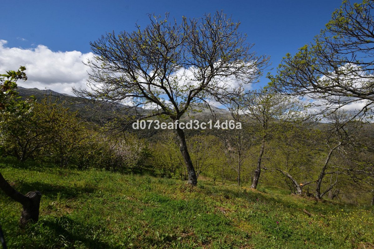 2 Bed Finca - Cortijo in Cartajima