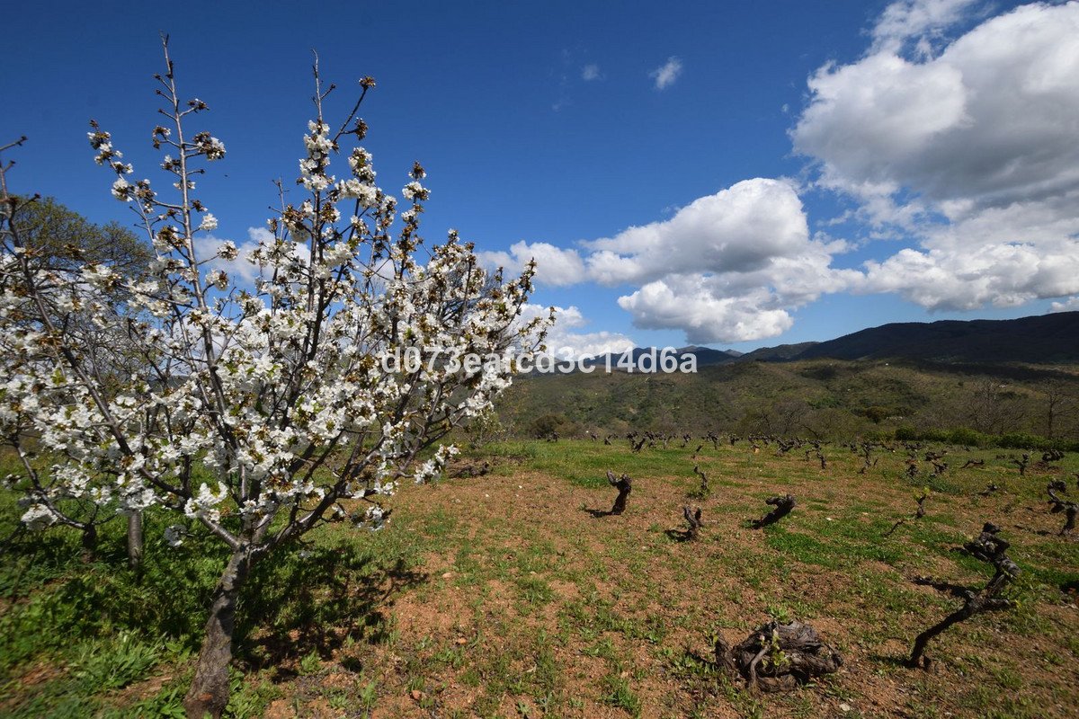 2 Bed Finca - Cortijo in Cartajima