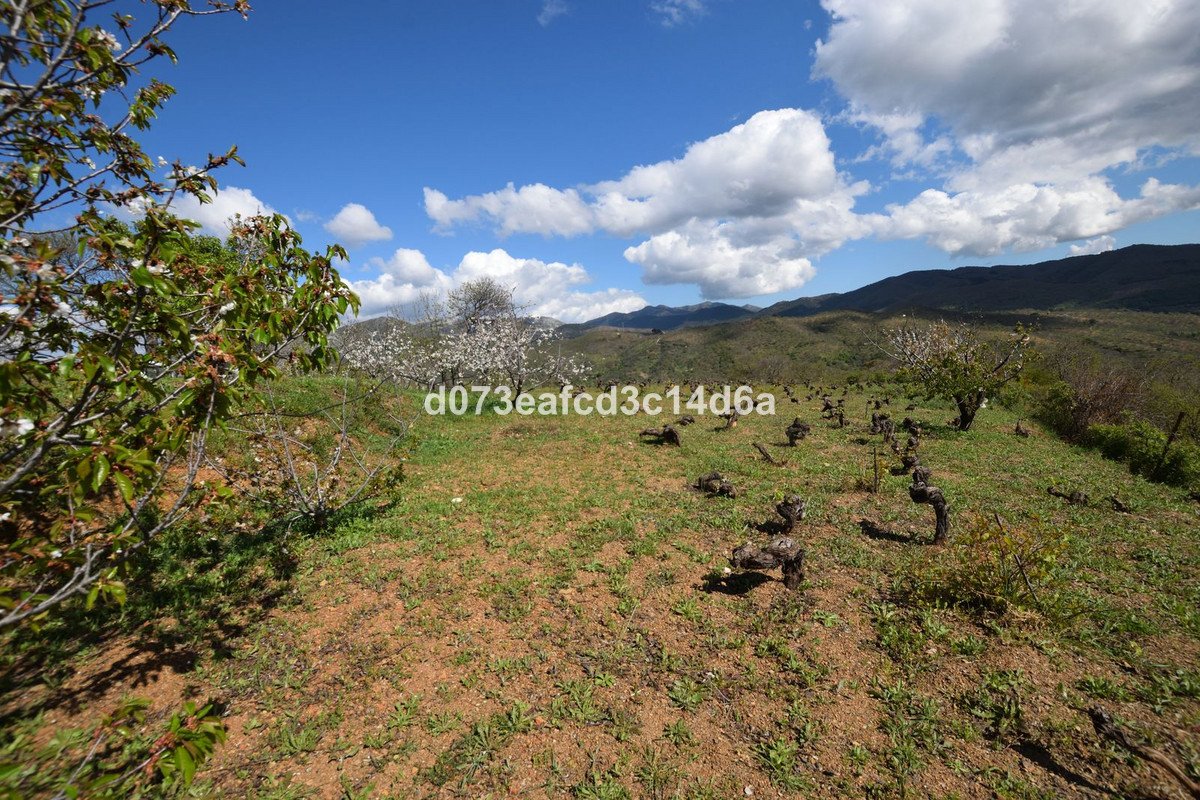 2 Bed Finca - Cortijo in Cartajima
