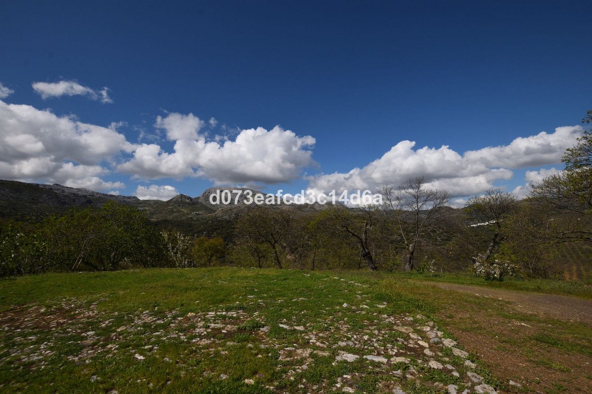 2 Bed Finca - Cortijo in Cartajima