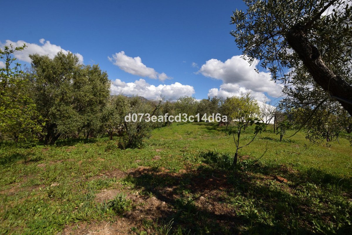 2 Bed Finca - Cortijo in Cartajima