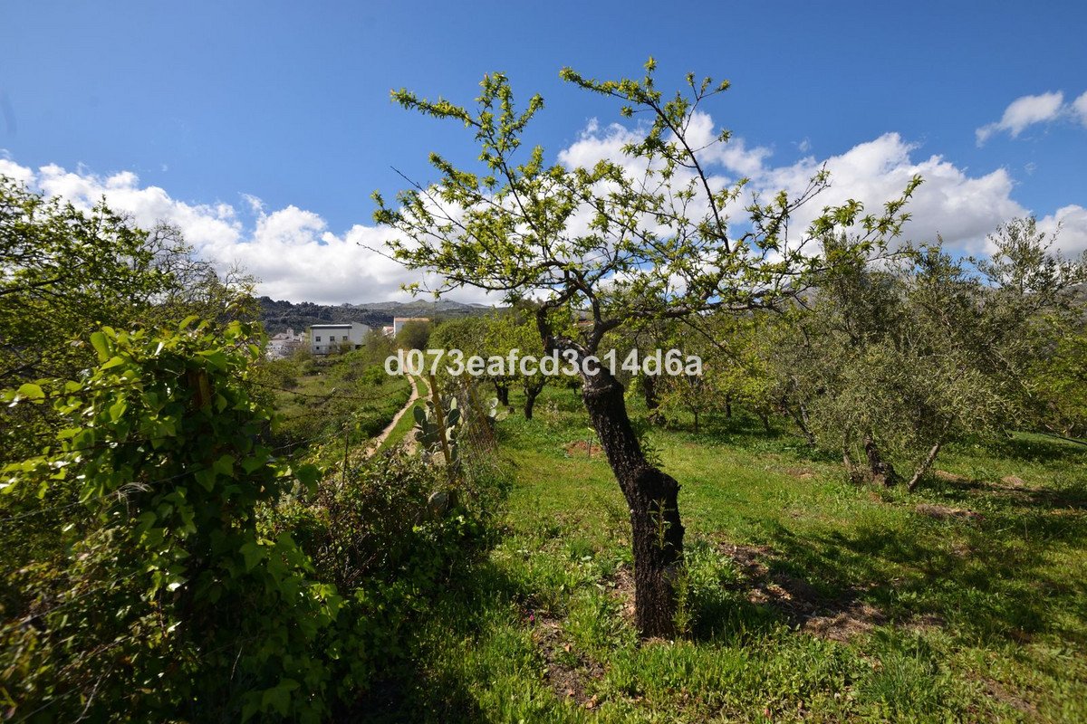 2 Bed Finca - Cortijo in Cartajima