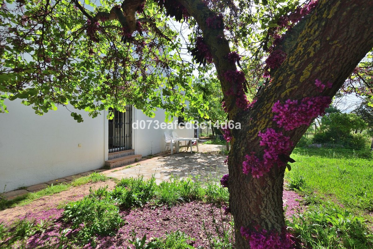 4 Bed Detached Villa in Ronda
