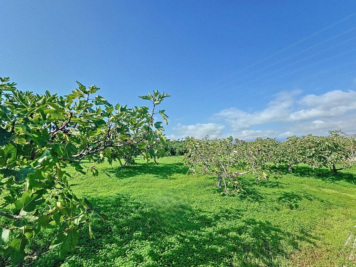 3 Bed Finca - Cortijo in El Padron