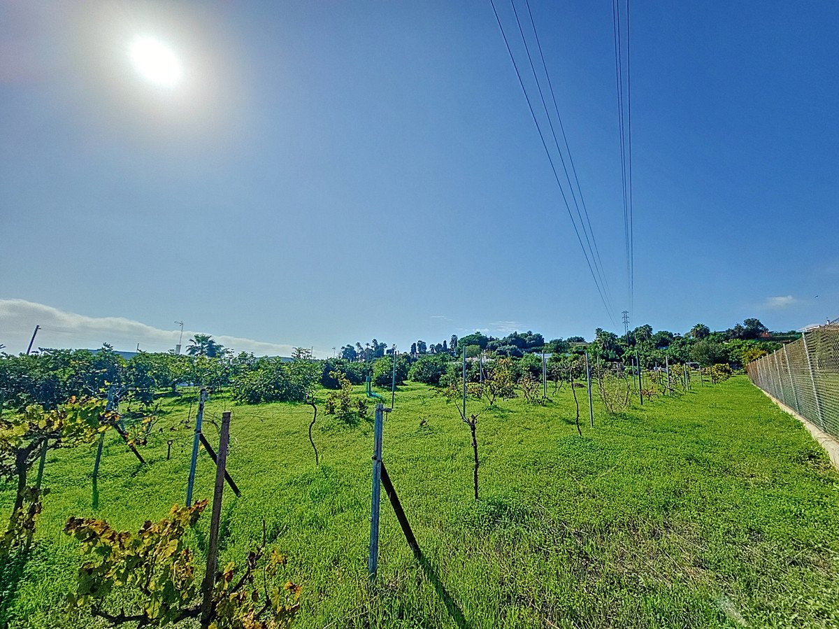 3 Bed Finca - Cortijo in El Padron