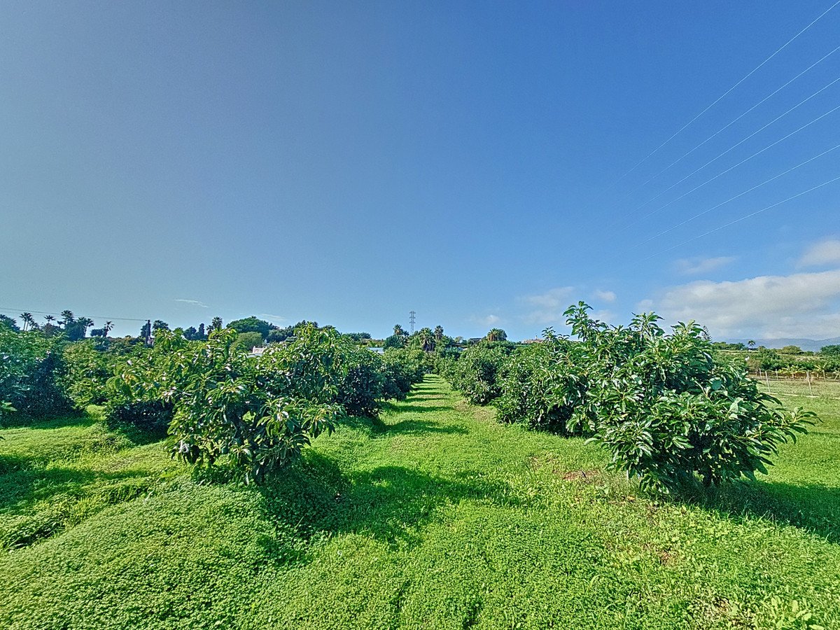 3 Bed Finca - Cortijo in El Padron