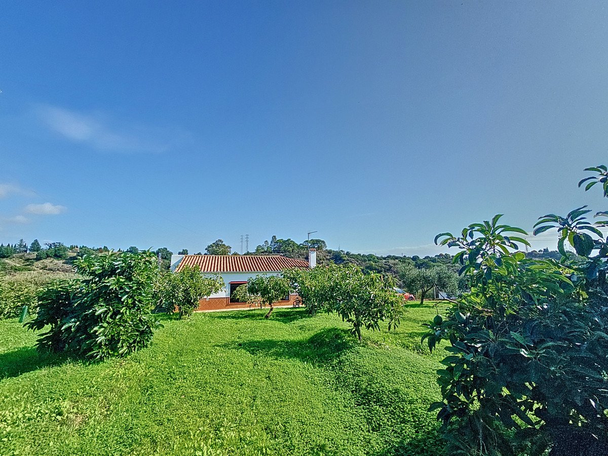 3 Bed Finca - Cortijo in El Padron