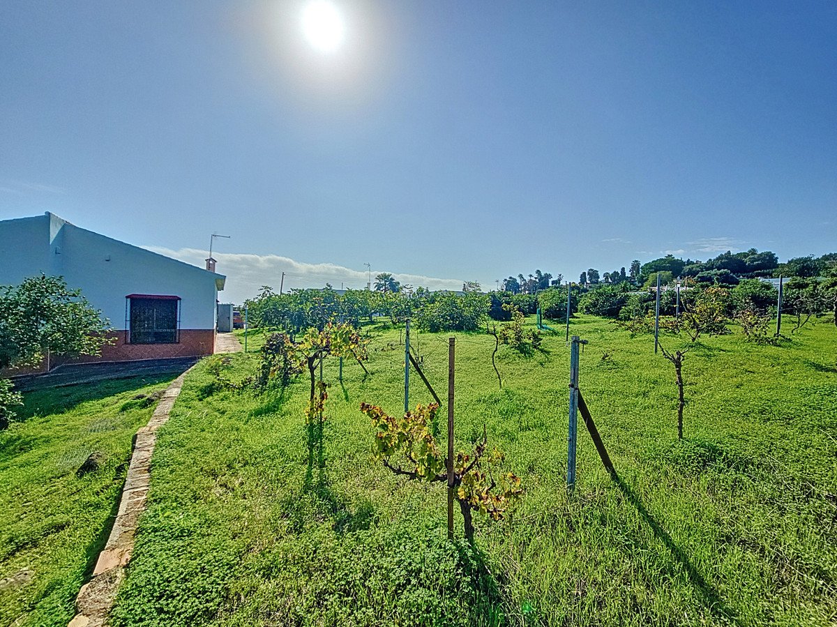 3 Bed Finca - Cortijo in El Padron