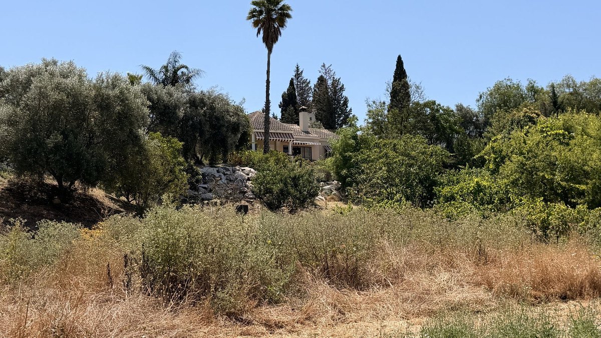3 Bed Finca - Cortijo in Alhaurín el Grande