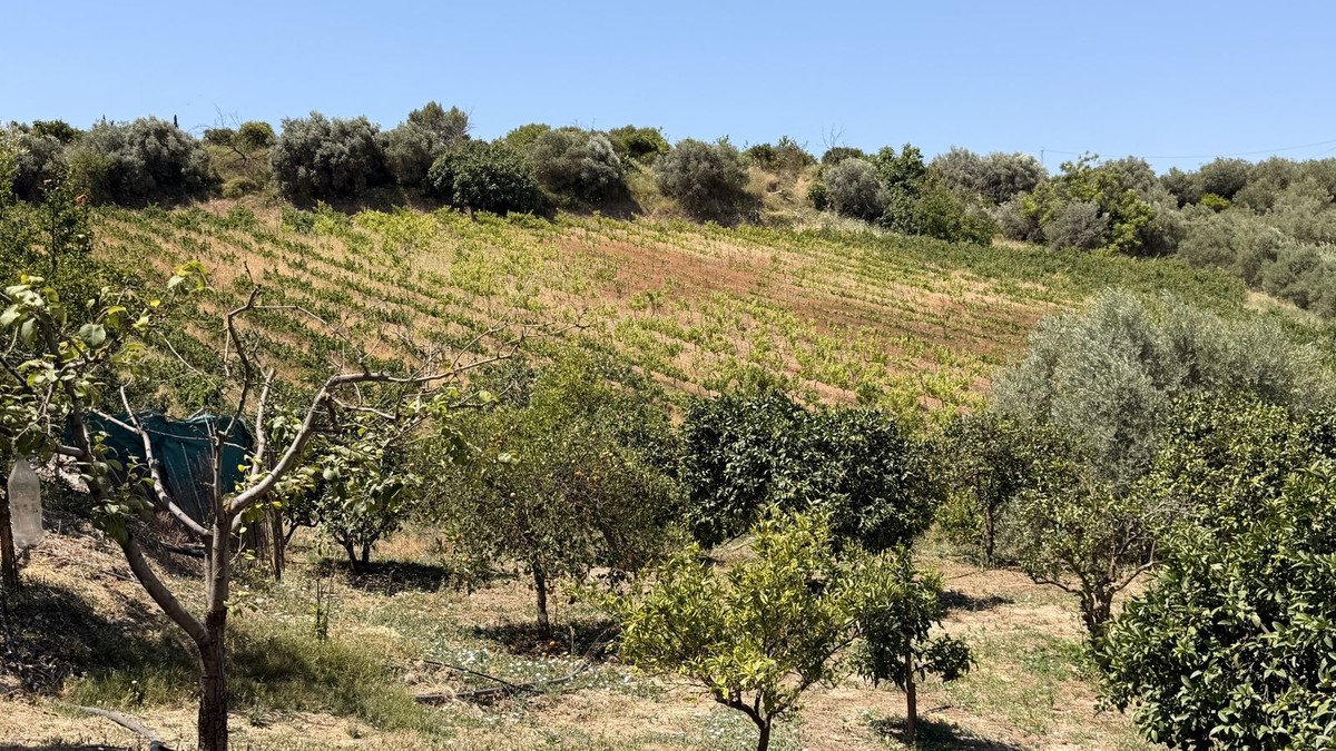 3 Bed Finca - Cortijo in Alhaurín el Grande