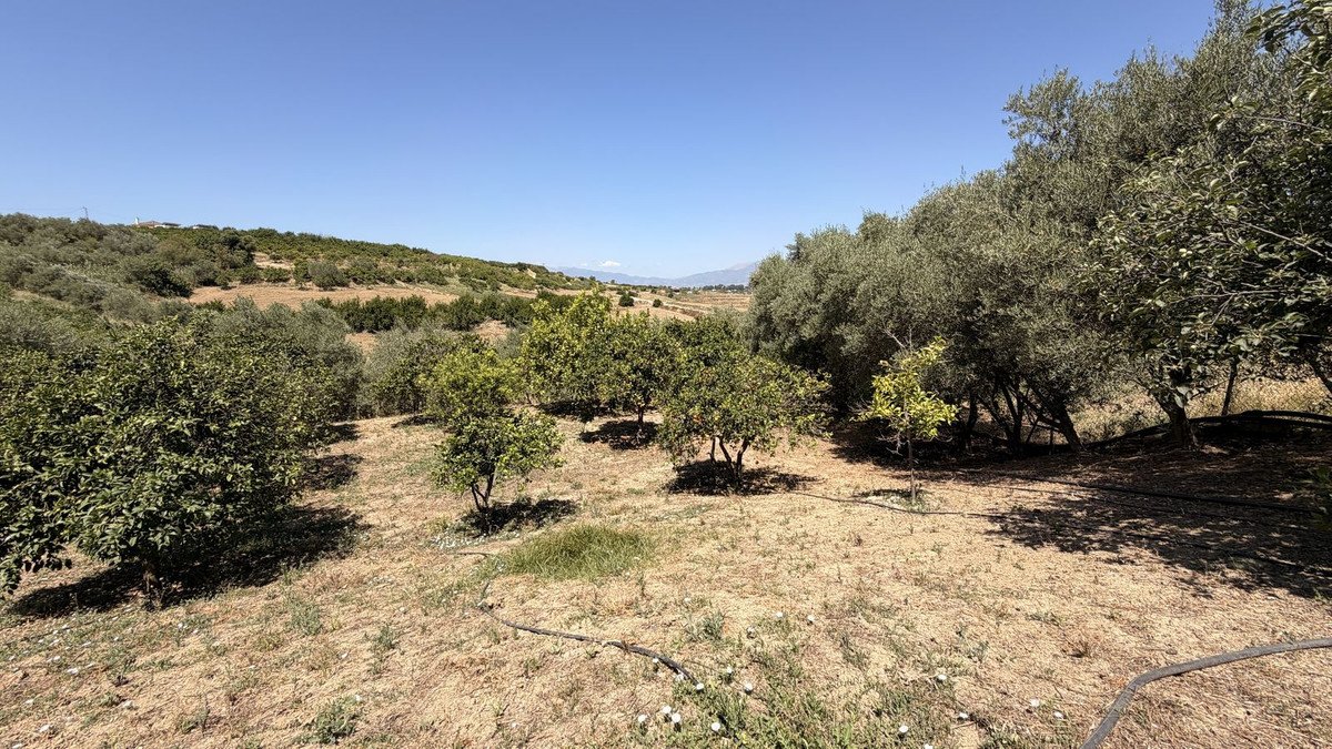 3 Bed Finca - Cortijo in Alhaurín el Grande