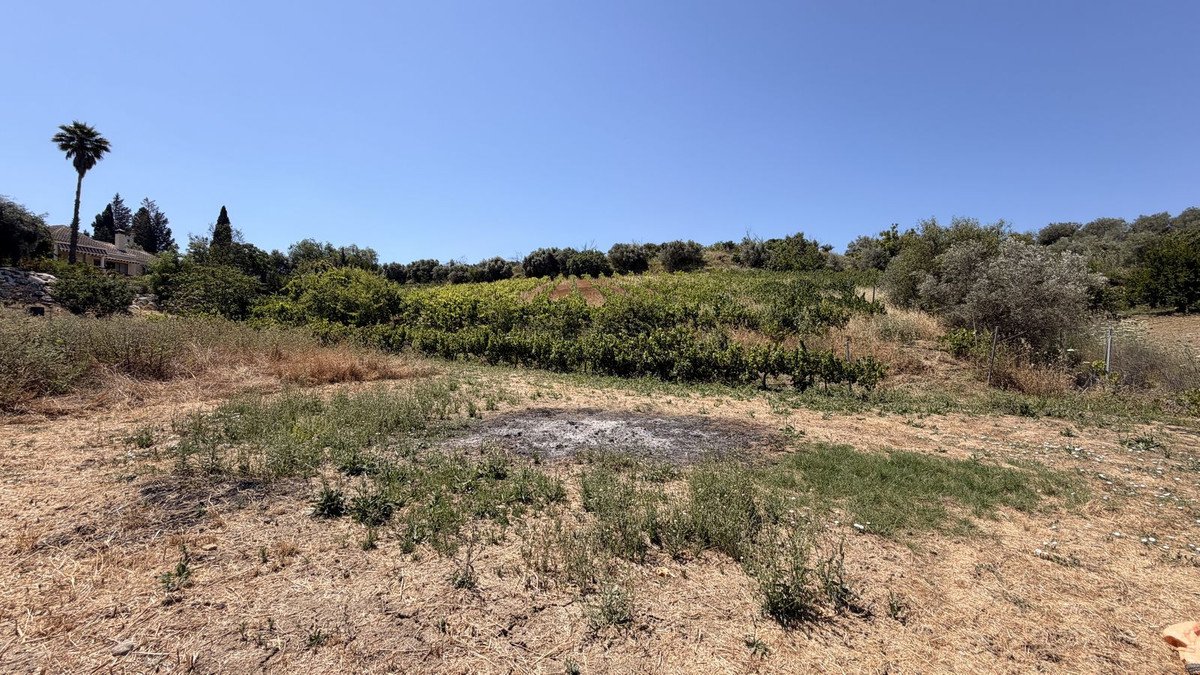 3 Bed Finca - Cortijo in Alhaurín el Grande