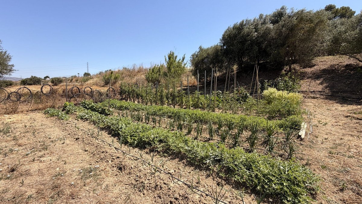 3 Bed Finca - Cortijo in Alhaurín el Grande