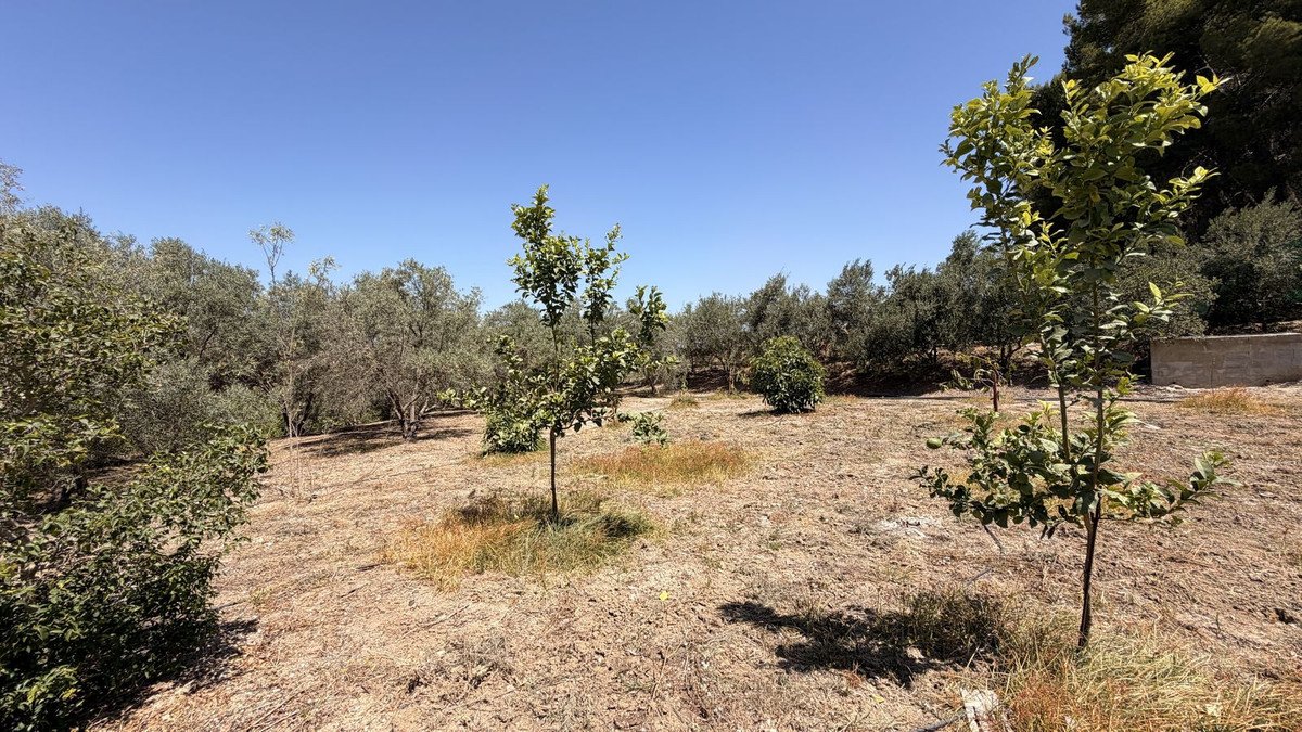 3 Bed Finca - Cortijo in Alhaurín el Grande