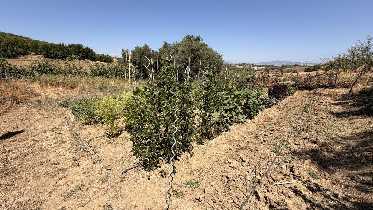 3 Bed Finca - Cortijo in Alhaurín el Grande