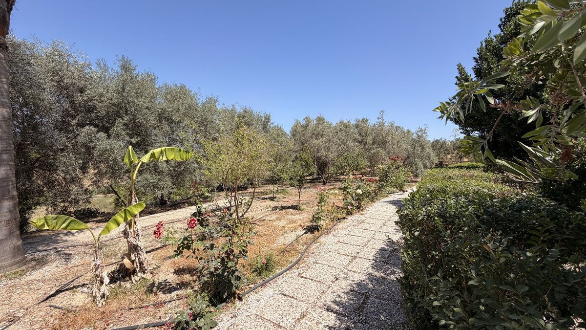 3 Bed Finca - Cortijo in Alhaurín el Grande
