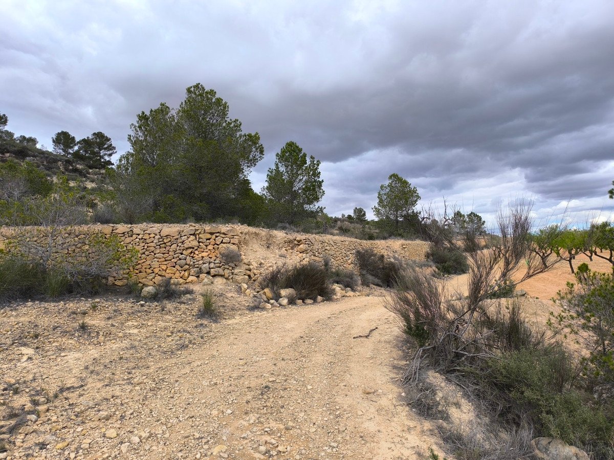 Land in Pinoso