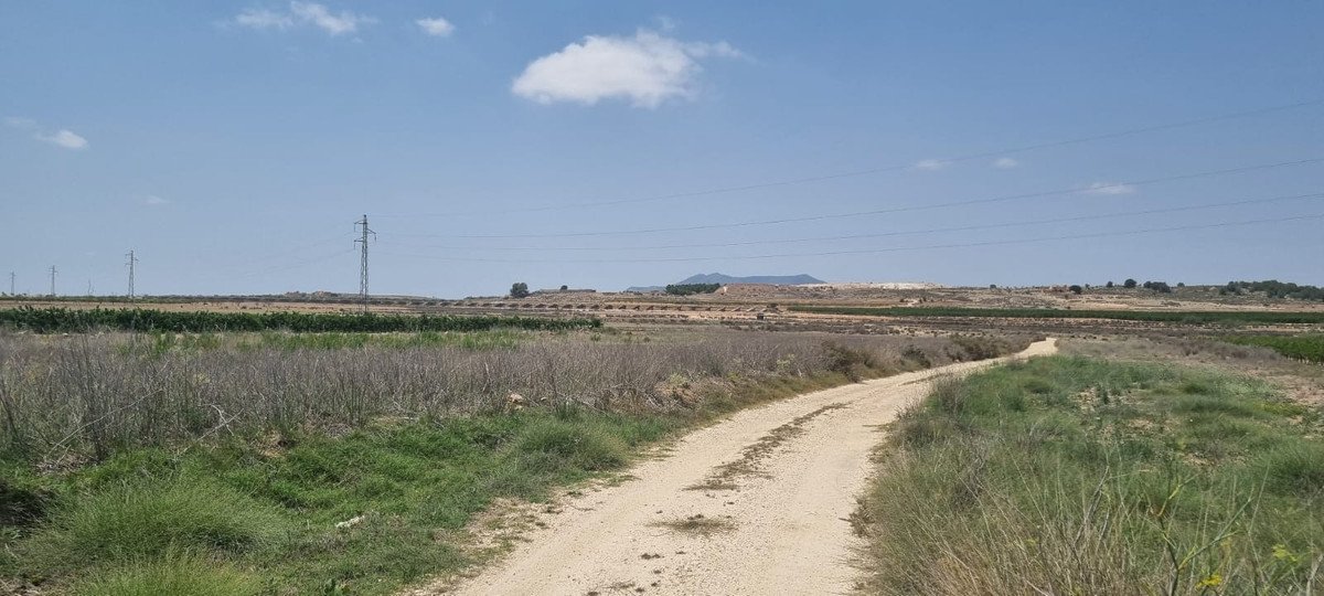 VL479474